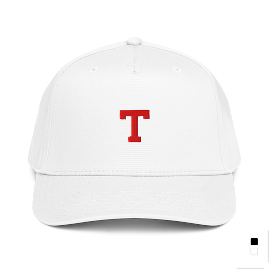 CLEAN COLLECTION: T Hat